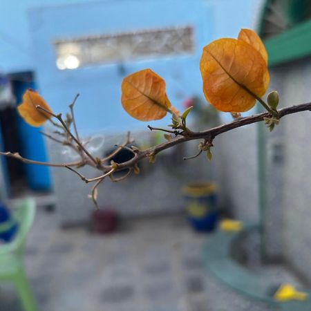 西迪伊夫尼Casa Morisca别墅 外观 照片