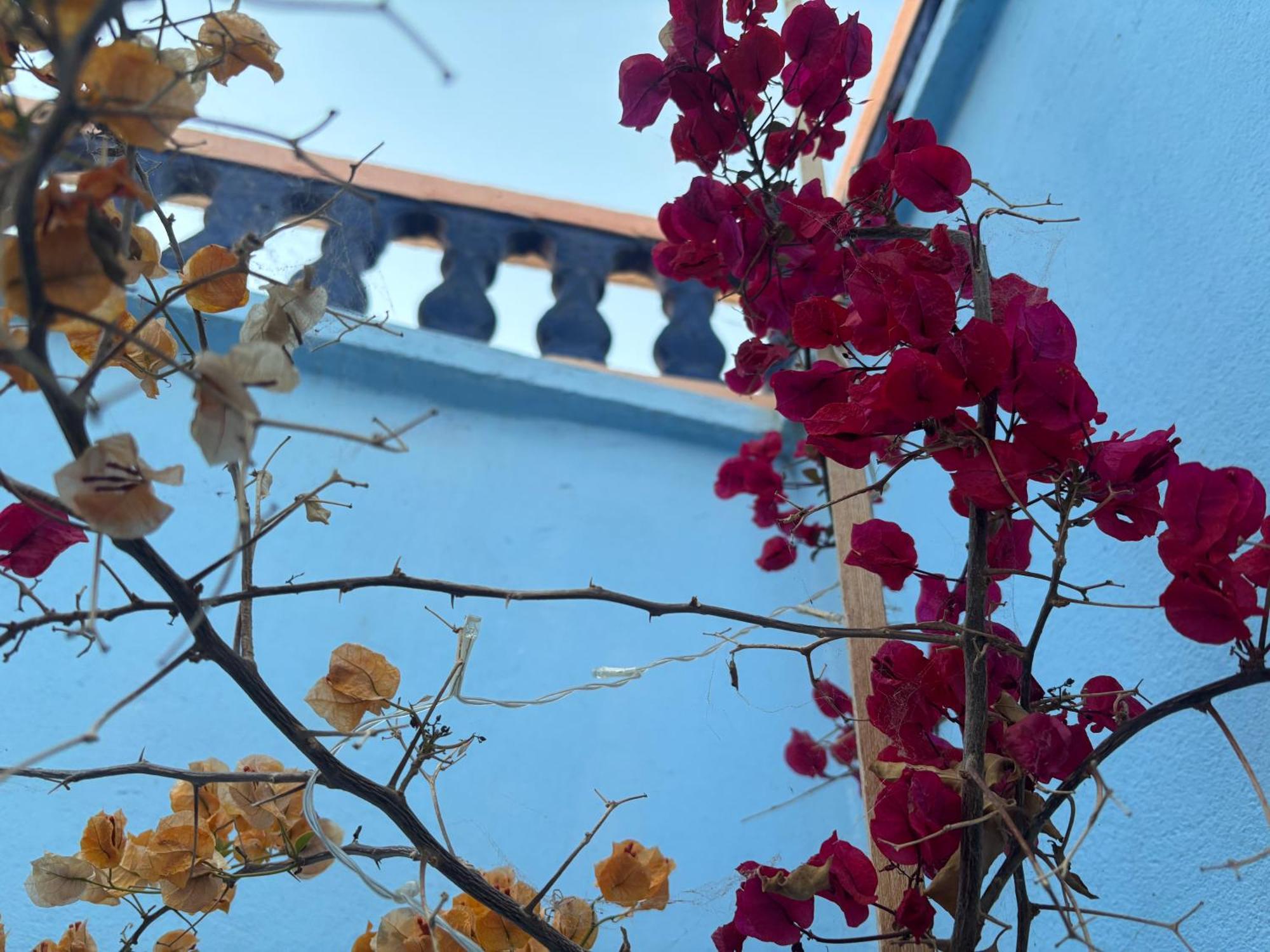 西迪伊夫尼Casa Morisca别墅 外观 照片